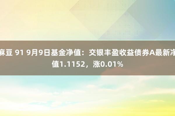 麻豆 91 9月9日基金净值：交银丰盈收益债券A最新净值1.1152，涨0.01%
