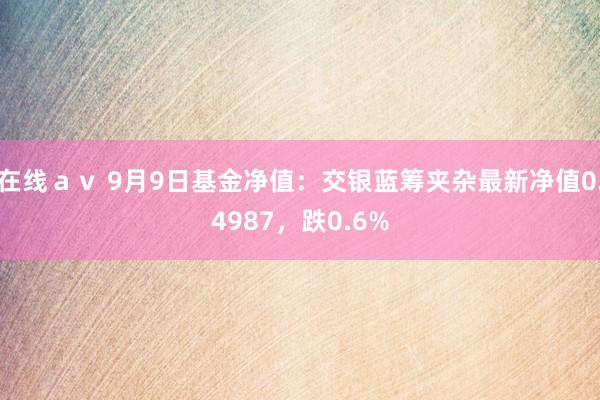 在线ａｖ 9月9日基金净值：交银蓝筹夹杂最新净值0.4987，跌0.6%