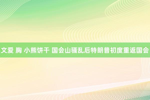 文爱 胸 小熊饼干 国会山骚乱后特朗普初度重返国会