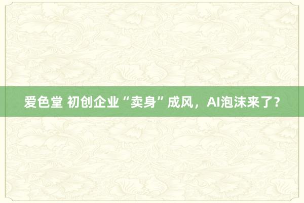 爱色堂 初创企业“卖身”成风，AI泡沫来了？