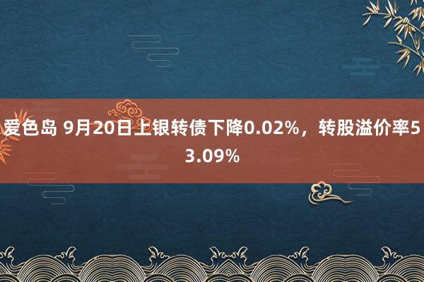 爱色岛 9月20日上银转债下降0.02%，转股溢价率53.09%