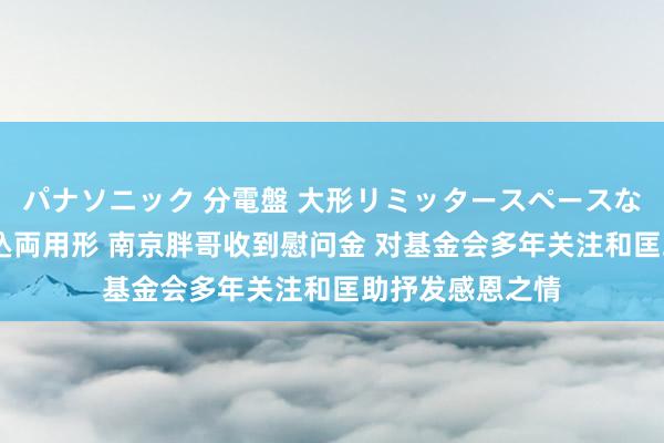 パナソニック 分電盤 大形リミッタースペースなし 露出・半埋込両用形 南京胖哥收到慰问金 对基金会多年关注和匡助抒发感恩之情