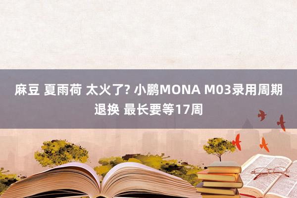 麻豆 夏雨荷 太火了? 小鹏MONA M03录用周期退换 最长要等17周
