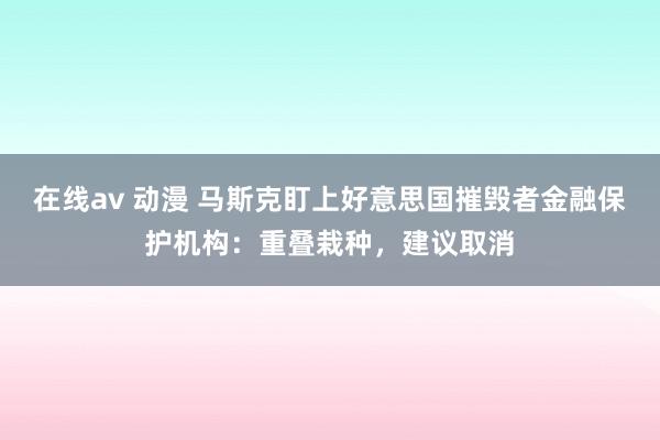 在线av 动漫 马斯克盯上好意思国摧毁者金融保护机构：重叠栽种，建议取消