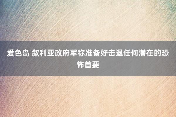 爱色岛 叙利亚政府军称准备好击退任何潜在的恐怖首要