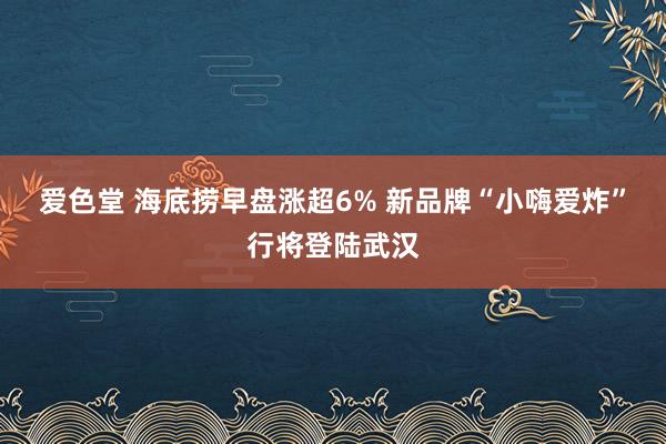 爱色堂 海底捞早盘涨超6% 新品牌“小嗨爱炸”行将登陆武汉