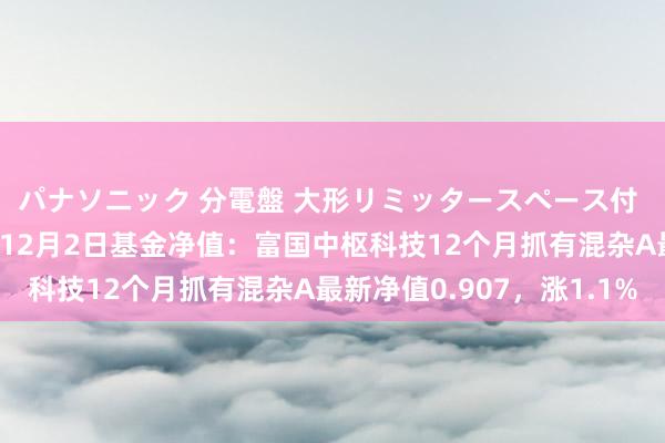 パナソニック 分電盤 大形リミッタースペース付 露出・半埋込両用形 12月2日基金净值：富国中枢科技12个月抓有混杂A最新净值0.907，涨1.1%