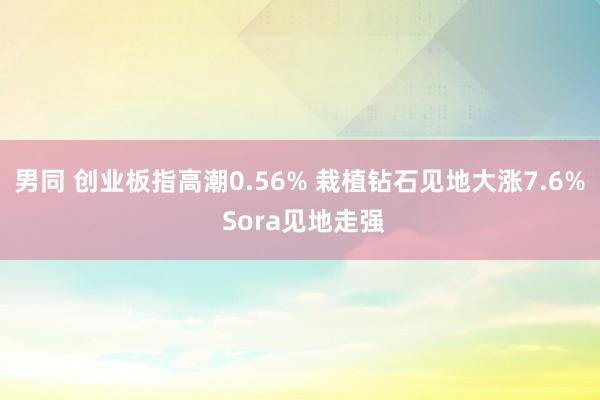 男同 创业板指高潮0.56% 栽植钻石见地大涨7.6% Sora见地走强