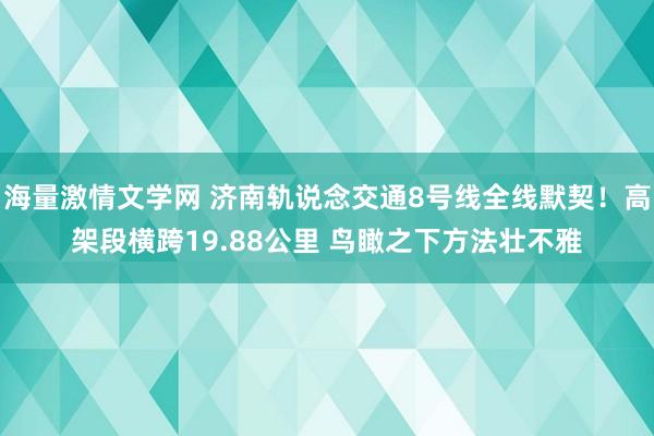 海量激情文学网 济南轨说念交通8号线全线默契！高架段横跨19.88公里 鸟瞰之下方法壮不雅