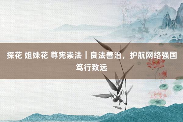 探花 姐妹花 尊宪崇法｜良法善治，护航网络强国笃行致远