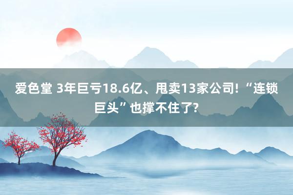 爱色堂 3年巨亏18.6亿、甩卖13家公司! “连锁巨头”也撑不住了?