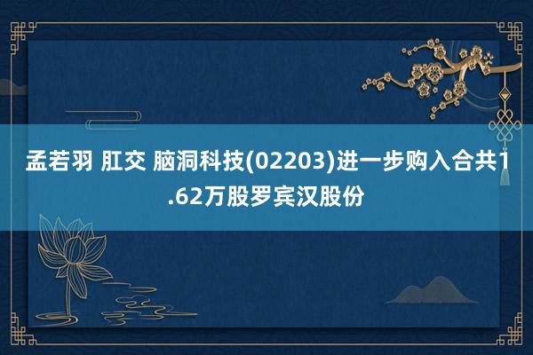 孟若羽 肛交 脑洞科技(02203)进一步购入合共1.62万股罗宾汉股份