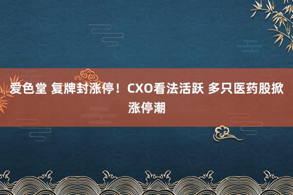 爱色堂 复牌封涨停！CXO看法活跃 多只医药股掀涨停潮