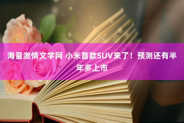 海量激情文学网 小米首款SUV来了！预测还有半年多上市