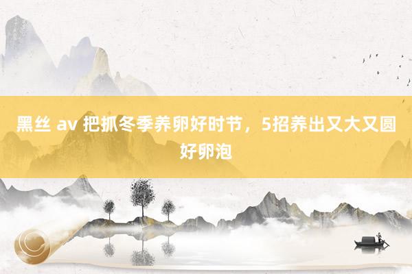 黑丝 av 把抓冬季养卵好时节，5招养出又大又圆好卵泡