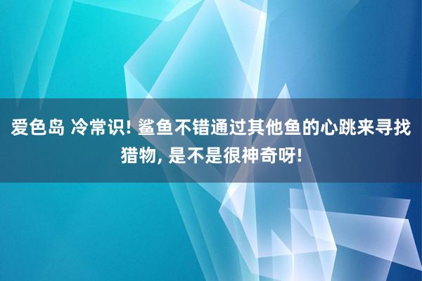 爱色岛 冷常识! 鲨鱼不错通过其他鱼的心跳来寻找猎物， 是不是很神奇呀!