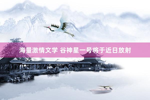海量激情文学 谷神星一号将于近日放射