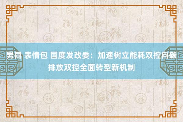男同 表情包 国度发改委：加速树立能耗双控向碳排放双控全面转型新机制