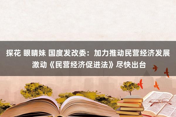 探花 眼睛妹 国度发改委：加力推动民营经济发展 激动《民营经济促进法》尽快出台