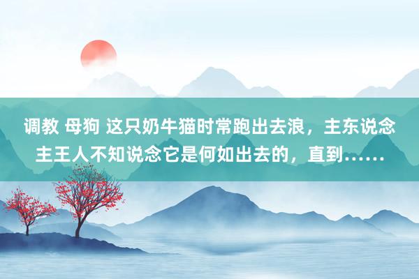 调教 母狗 这只奶牛猫时常跑出去浪，主东说念主王人不知说念它是何如出去的，直到……