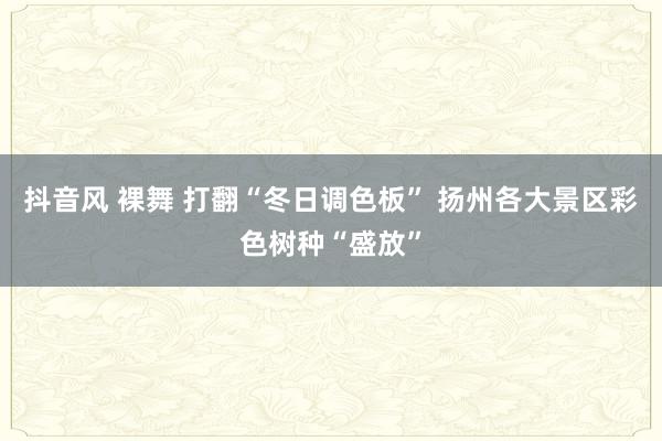 抖音风 裸舞 打翻“冬日调色板” 扬州各大景区彩色树种“盛放”