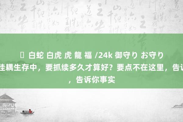 ✨白蛇 白虎 虎 龍 福 /24k 御守り お守り 男性在佳耦生存中，要抓续多久才算好？要点不在这里，告诉你事实