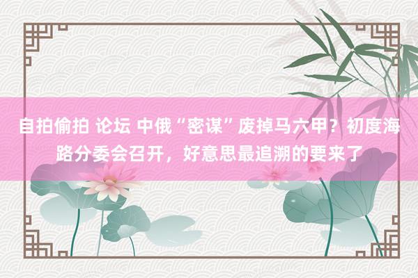 自拍偷拍 论坛 中俄“密谋”废掉马六甲？初度海路分委会召开，好意思最追溯的要来了