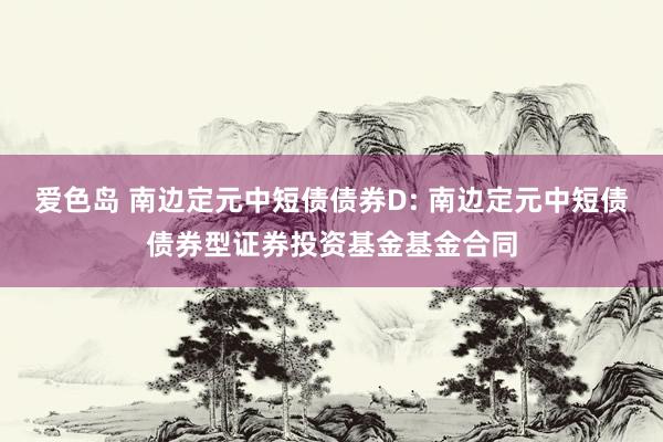 爱色岛 南边定元中短债债券D: 南边定元中短债债券型证券投资基金基金合同