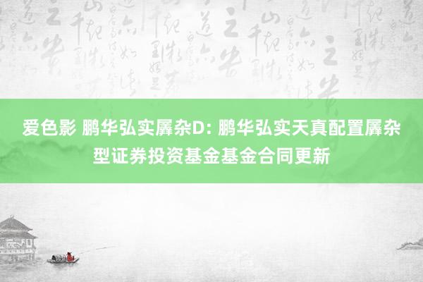 爱色影 鹏华弘实羼杂D: 鹏华弘实天真配置羼杂型证券投资基金基金合同更新