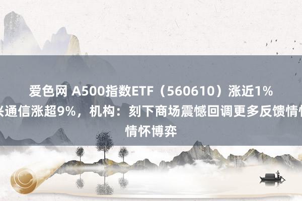 爱色网 A500指数ETF（560610）涨近1%，中兴通信涨超9%，机构：刻下商场震憾回调更多反馈情怀博弈