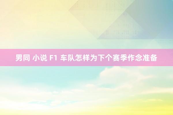 男同 小说 F1 车队怎样为下个赛季作念准备