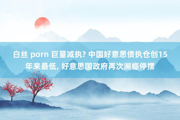 白丝 porn 巨量减执? 中国好意思债执仓创15年来最低， 好意思国政府再次濒临停摆