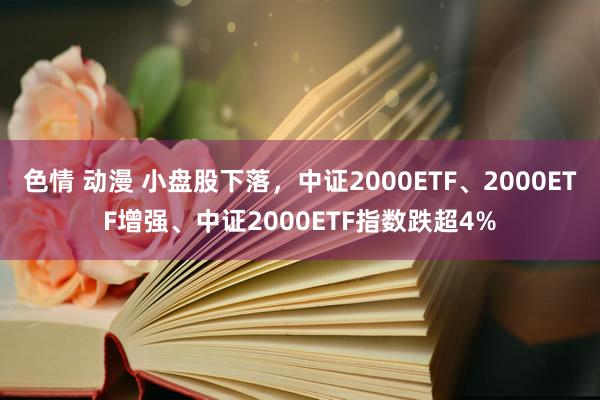 色情 动漫 小盘股下落，中证2000ETF、2000ETF增强、中证2000ETF指数跌超4%