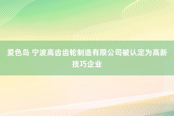 爱色岛 宁波高齿齿轮制造有限公司被认定为高新技巧企业