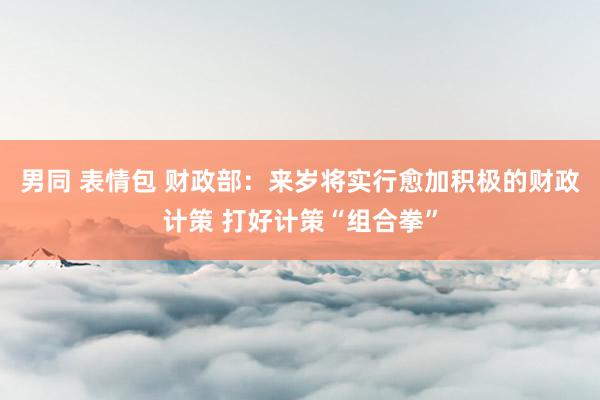 男同 表情包 财政部：来岁将实行愈加积极的财政计策 打好计策“组合拳”