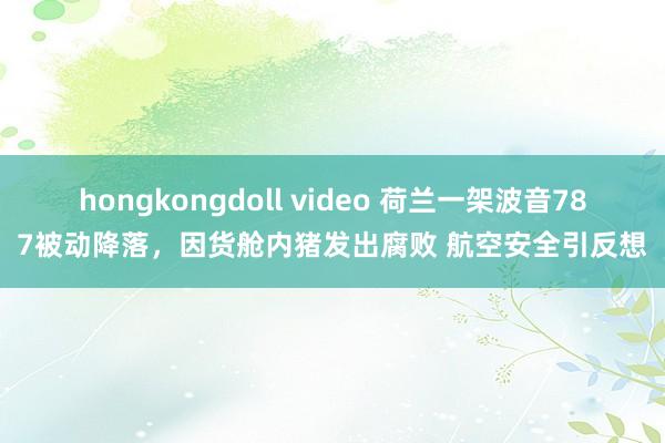 hongkongdoll video 荷兰一架波音787被动降落，因货舱内猪发出腐败 航空安全引反想