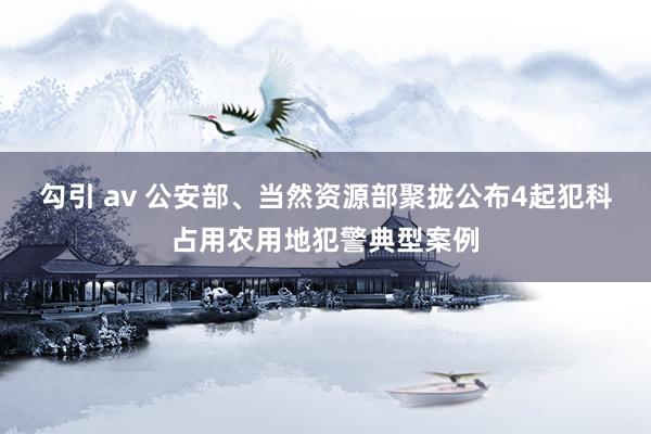 勾引 av 公安部、当然资源部聚拢公布4起犯科占用农用地犯警典型案例