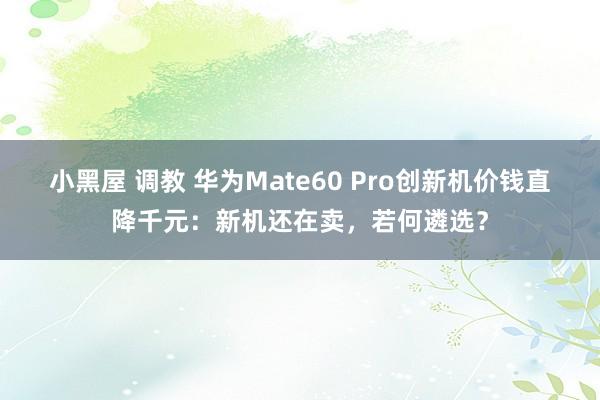 小黑屋 调教 华为Mate60 Pro创新机价钱直降千元：新机还在卖，若何遴选？