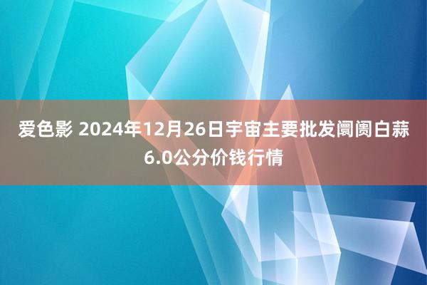 爱色影 2024年12月26日宇宙主要批发阛阓白蒜6.0公分价钱行情