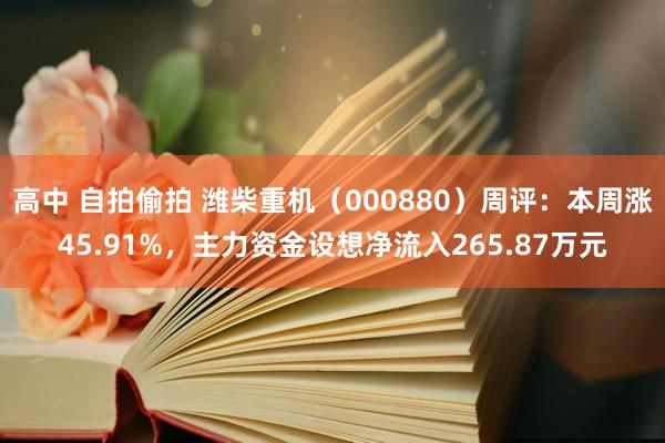 高中 自拍偷拍 潍柴重机（000880）周评：本周涨45.91%，主力资金设想净流入265.87万元