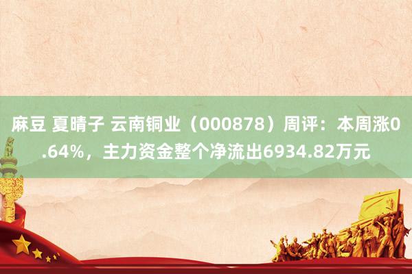 麻豆 夏晴子 云南铜业（000878）周评：本周涨0.64%，主力资金整个净流出6934.82万元