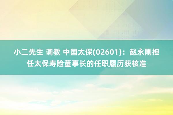 小二先生 调教 中国太保(02601)：赵永刚担任太保寿险董事长的任职履历获核准