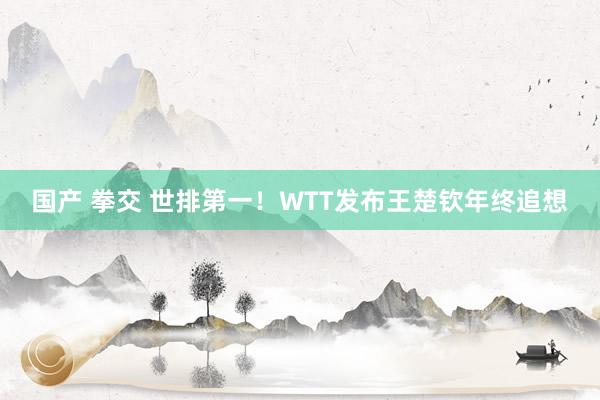 国产 拳交 世排第一！WTT发布王楚钦年终追想