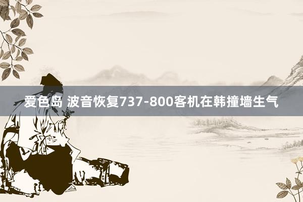 爱色岛 波音恢复737-800客机在韩撞墙生气