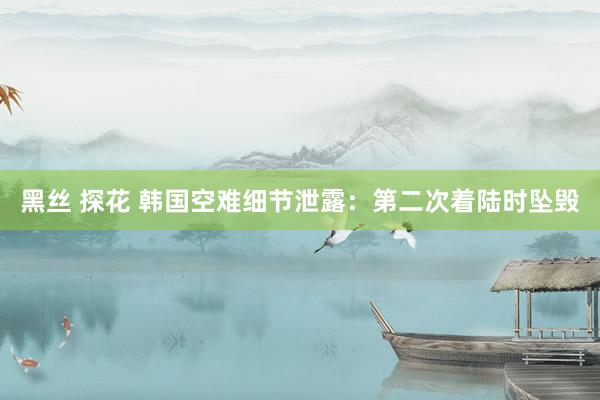 黑丝 探花 韩国空难细节泄露：第二次着陆时坠毁