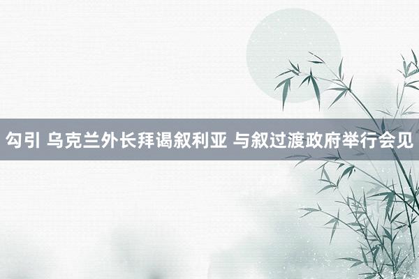 勾引 乌克兰外长拜谒叙利亚 与叙过渡政府举行会见