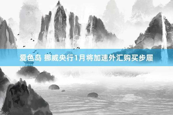 爱色岛 挪威央行1月将加速外汇购买步履