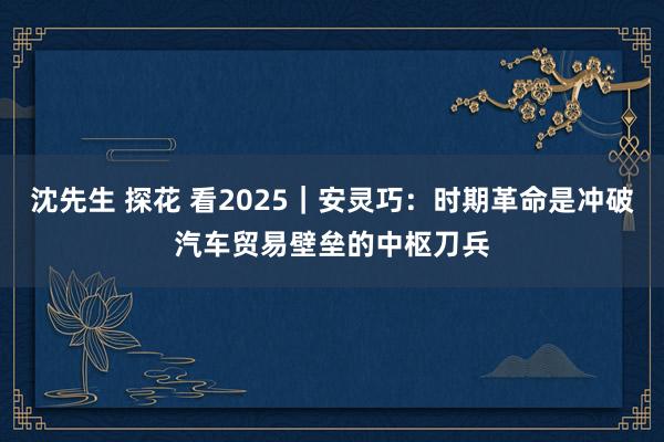 沈先生 探花 看2025｜安灵巧：时期革命是冲破汽车贸易壁垒的中枢刀兵