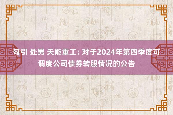 勾引 处男 天能重工: 对于2024年第四季度可调度公司债券转股情况的公告