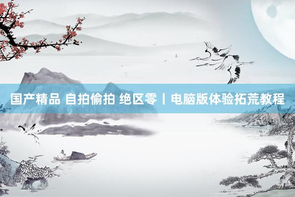 国产精品 自拍偷拍 绝区零丨电脑版体验拓荒教程